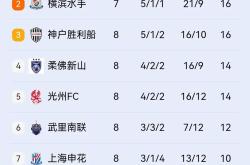 开云体育APP下载-关于亚眠客场逆转战胜波尔多，积分榜稳居中游的信息