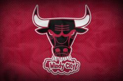 开云体育-张本智和狂砍2分难救主，奥地利队整体爆发轻取日本队