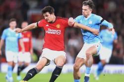 开云体育中国-爱尔兰强势击败冰岛，提前晋级欧洲杯