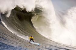 开云体育在线-汉萨同盟外的苏格兰意志，拜仁争冠战硬仗中的凯尔特血脉