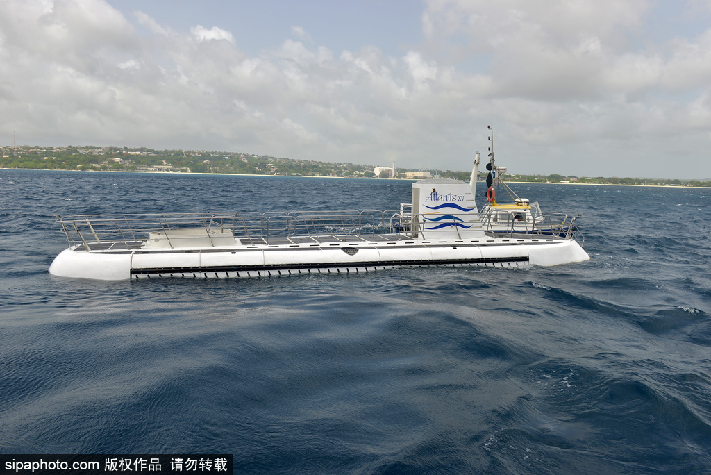 热带岛国选手实力赢球，夺得冠军