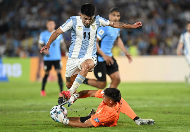 新西兰游泳冠军表现稳健!豪取金牌 新西兰游泳冠军表现稳健!豪取金牌