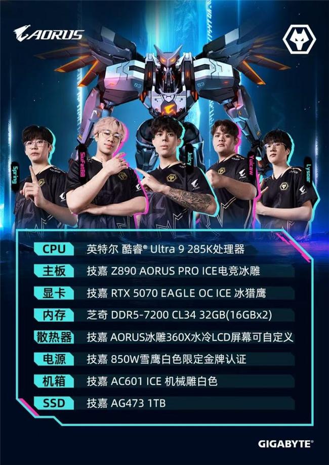 狼队实力逐步提升，冲击前八