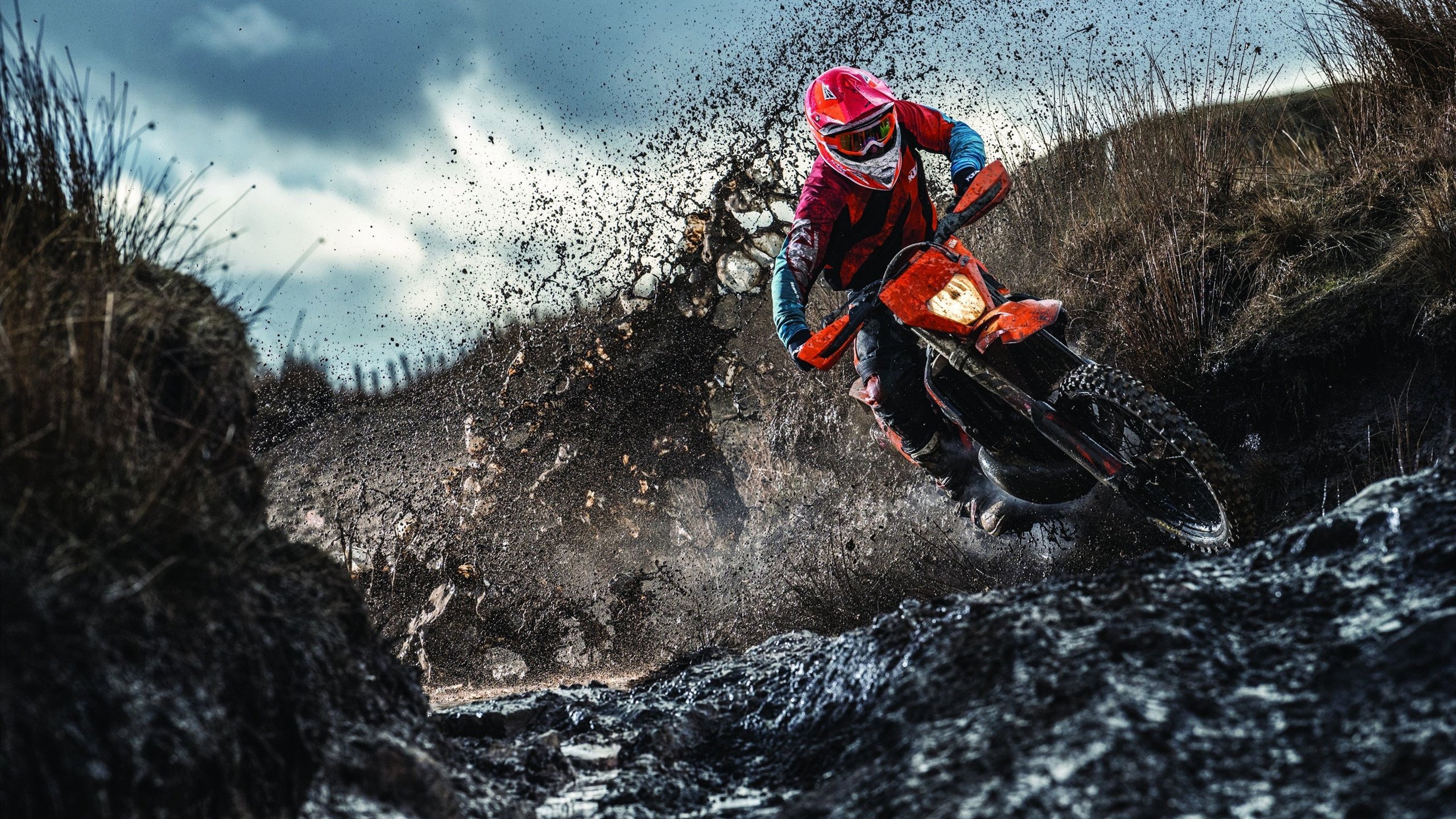 翻盘与统治,亚洲羽坛的双重奏